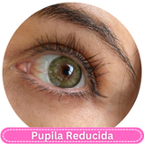 Urban Layer Cleopatra Green