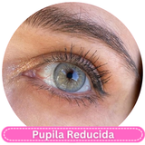 Urban Layer Orlando N Gray