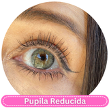 BC61-5 Cleopatra gray