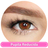 Beauty Tone Cleopatra Hazel