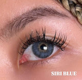 FreshLady Siri Blue