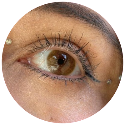 Maldives Brown