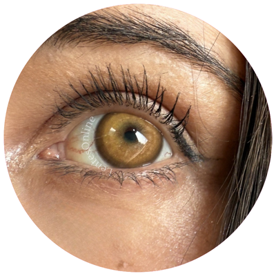 T2001 Brown