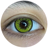 H34 Yellow QA 01