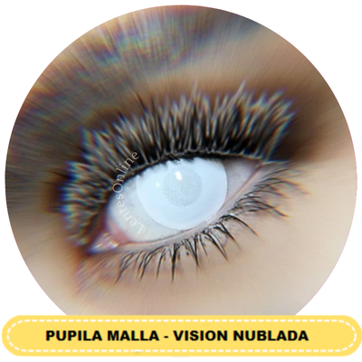 Visible White blind
