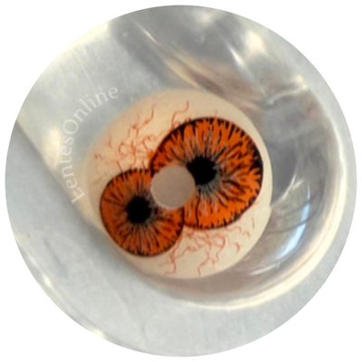 Dicoria Brown