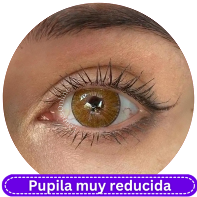 Fancycon New York Hazel