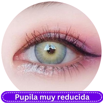 Fancycon New York Gray