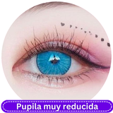 Fancycon New York Blue