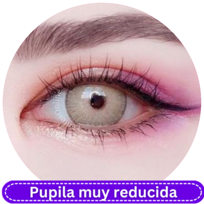 Fancycon New York Brown