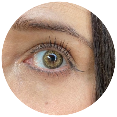 BDT1 Brown Hazel