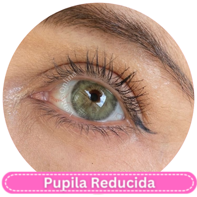 Urban Layer Siri Lime