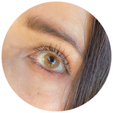 BKK07 Hidrocor Avela