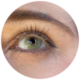 Luxcor Mel new! 2026