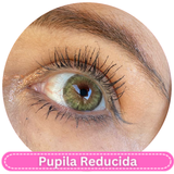 BC61-2 Cleopatra green