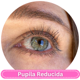 Meetone Cleopatra Gray