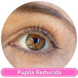 FreshLady Cleopatra Hazel