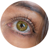 Freshlady Gem Brown