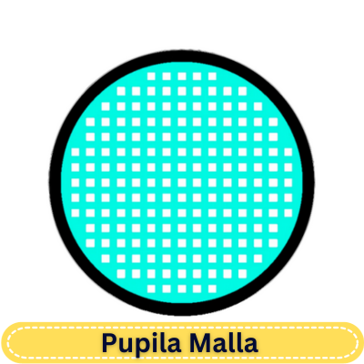 Cyan Mesh