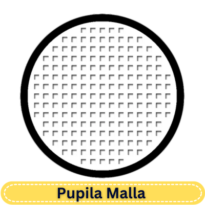 17.0 mm White Mesh R