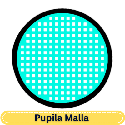 17.0 mm Cyan Mesh R
