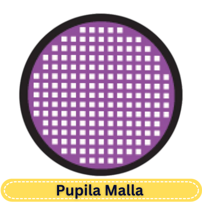 17.0 mm Violet Mesh R