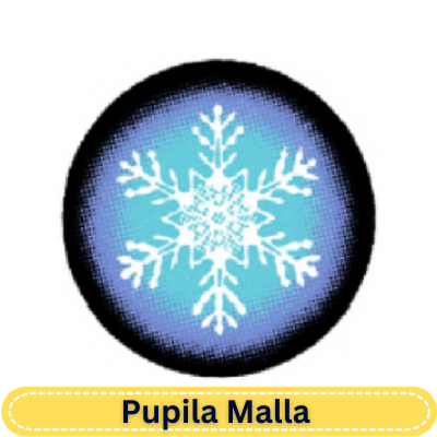 SnowFlake
