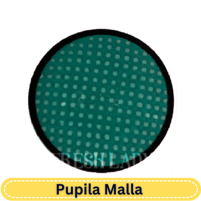 Green Mesh R
