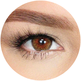Beauty Tone Cleopatra Hazel