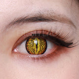 Lizard eye brown